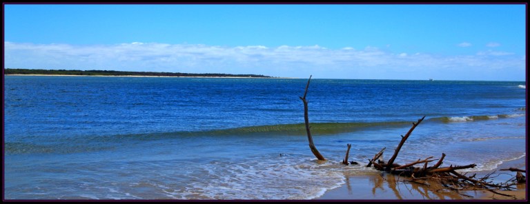 8F755511-5CC4-441B-9BAA-8A831D682346