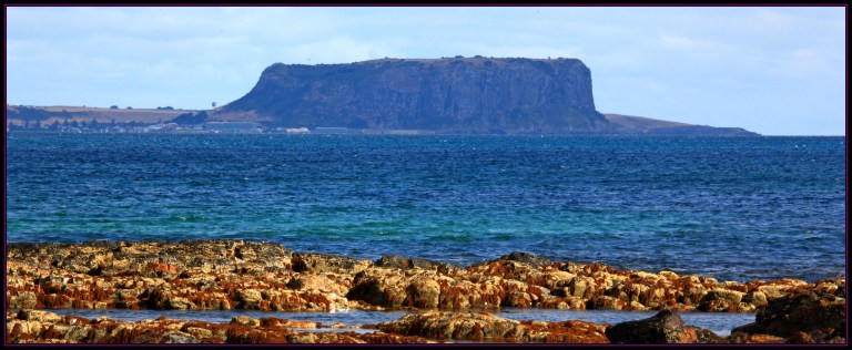 The Nut Across the Water_4282